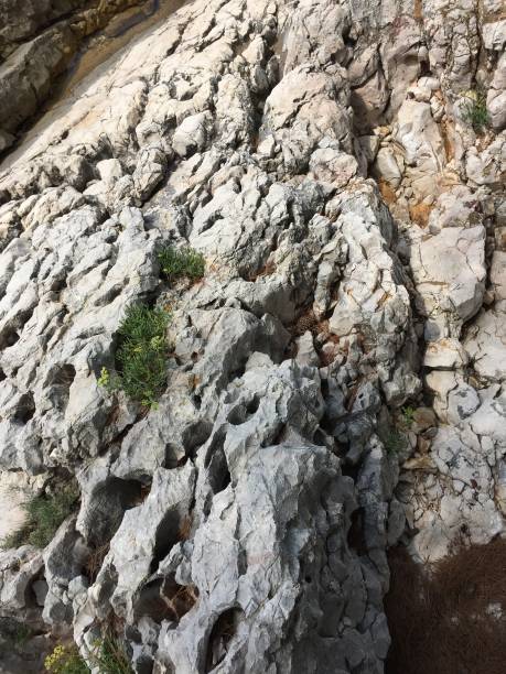 istock Fossil karst on Croatian adriaric coast 1169909062