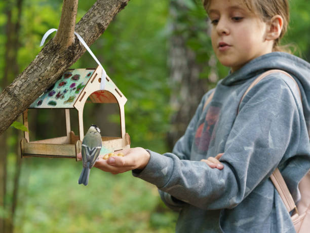 istock Girl feeding a wild bird in the park 1169909542