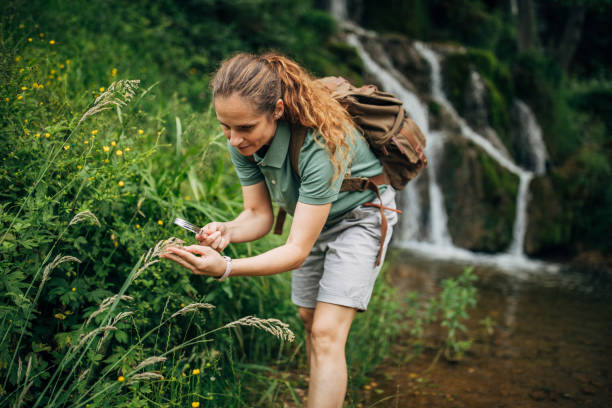 Lady biologist exploring plants by the waterfall One woman, lady explorer and biologist using magnifying glass in nature by waterfall alone. environmentalist stock pictures, royalty-free photos & images