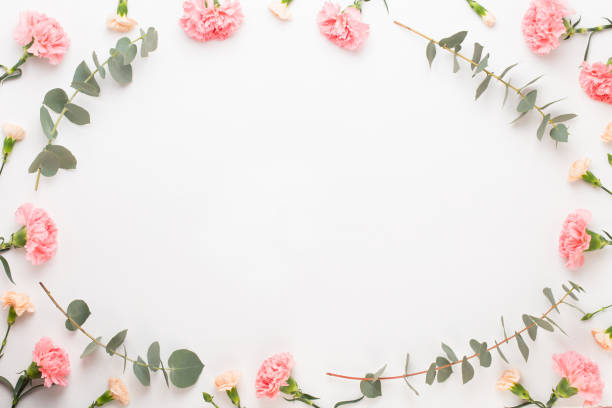 istock Flowers and eucaaliptus composition. Pattern made of various colorful flowers on white background. Flat lay stiil life. 1169919798