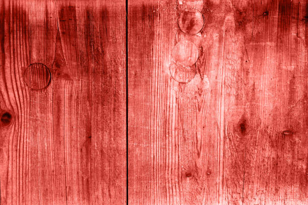 istock Living coral wooden background. Abstract wallpapper. 1169920453