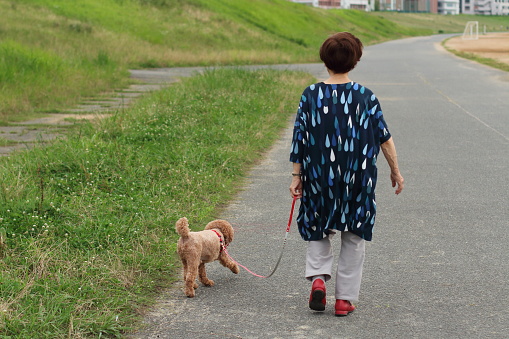 A senior Japanese woman walking with her dog on riverbank path