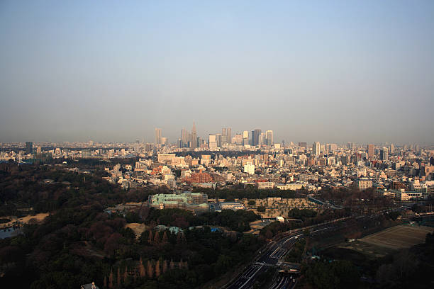 istock Tokyo, capital of Japan 116992176