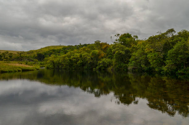 istock Rivers of Serra da Canastra region. 1169922707