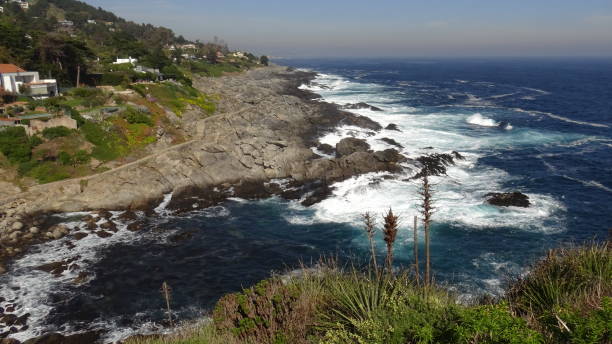istock Landscape of rocky beach and nature 1169924121