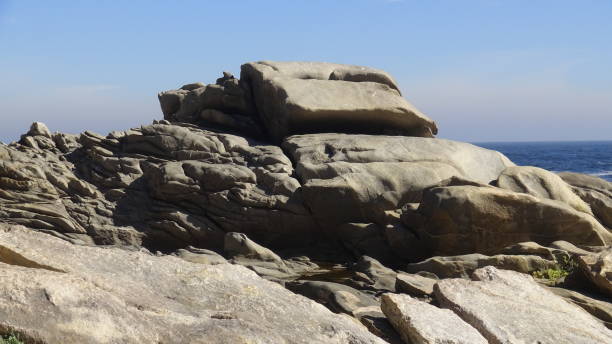istock Landscape of rocky beach and nature 1169924197