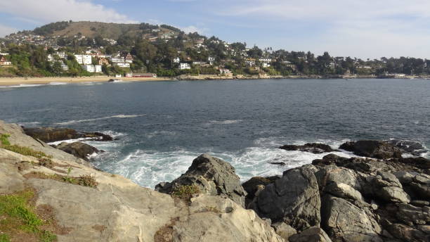 istock Landscape of rocky beach and nature 1169924246