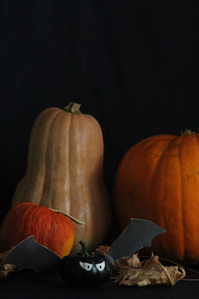 istock various kinds of pumpkins on the table on a gloomy dark background. 1169924400
