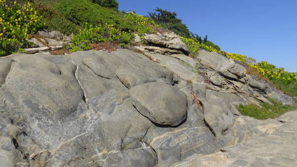 istock Landscape of rocky beach and nature 1169925556
