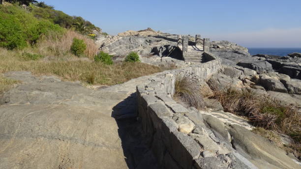 istock Landscape of rocky beach and nature 1169925802