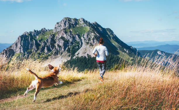 istock Female running by the mounting range path with her beagle dog back view. Canicross running healthy lifestyle concept image. 1169926427