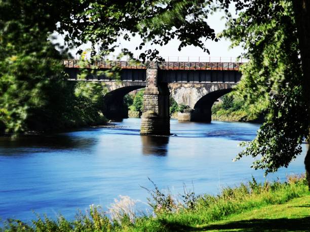 der fluss ribble in avenham und miller park - ribble stock-fotos und bilder