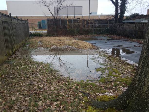 istock large water puddle in flooded yard with reflection 1169929138