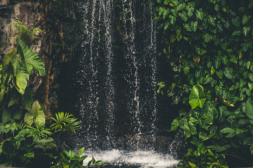 Tropical waterfall Singapore