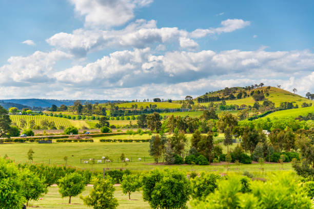 istock Farm in Yarra Valley Melbourne 1169930485