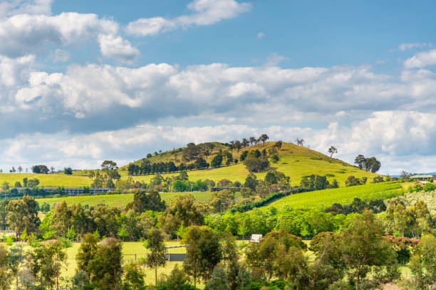 istock Farm in Yarra Valley Melbourne 1169930671