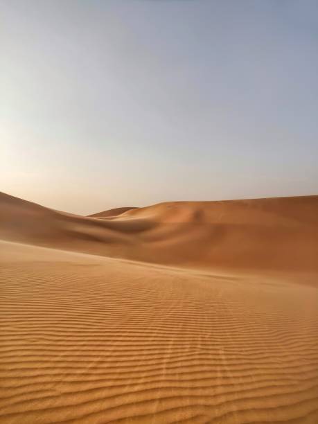 istock At the top of Moreeb Dunes, AbuDhabi 1169930705
