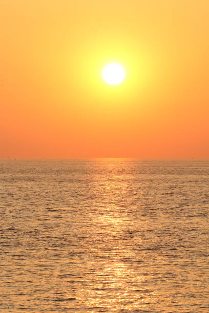 istock beautiful sunset with orange sky above river scheldt in summer 1169936948