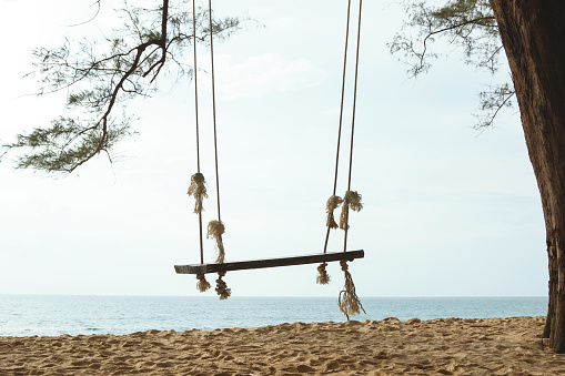 Wooden swing hanging on the tree on the beach