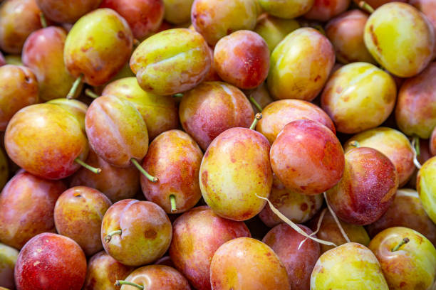 istock An Abundance of Plums 1169941137