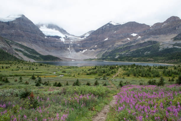 istock Assiniboine National Park, Canadian Rockies, BC 1169942941