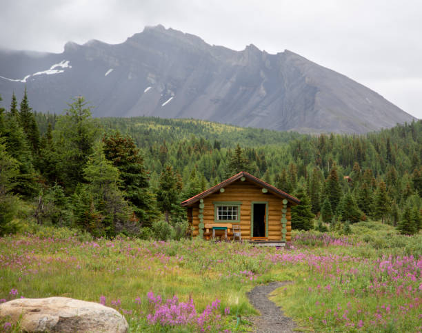 istock Assiniboine National Park, Canadian Rockies, BC 1169942943