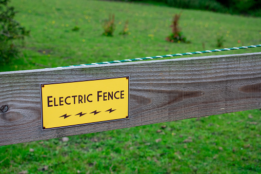 The electric fence is used here to keep the horses in and humans out.