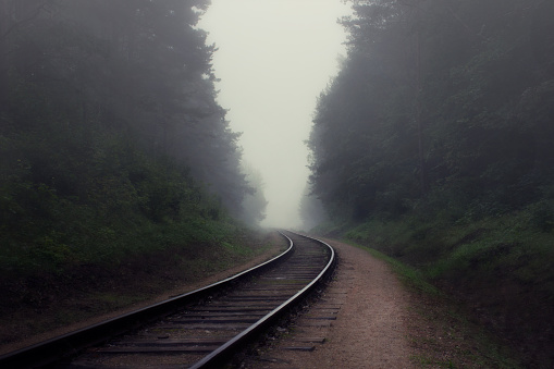 Mysterious scene with railroad and forest on a foggy morning.