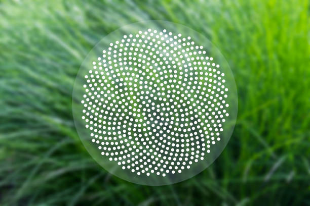 Abstract geometric sacred scientific background with Fibonacci dots pattern on the background of blurred green grass.