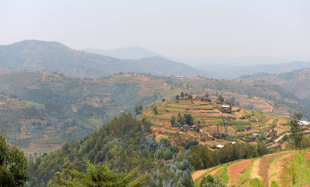 Gitega / Kitega, Burundi: Cathedral of Christ the King - Cathédrale Christ Roi - Roman Catholic Archdiocese of Gitega - Archidioecesis Kitegaensis - Mushasha area.