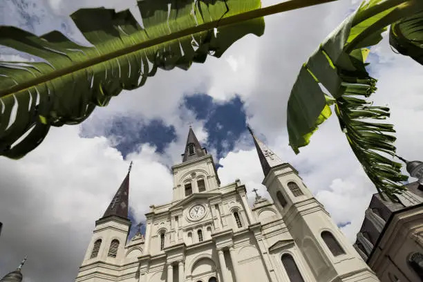 Dramatic low-angle view  of Saint-Louis church in New-Orleans, Louisiana, framed by a palm-tree and with blue sky and clouds in the background