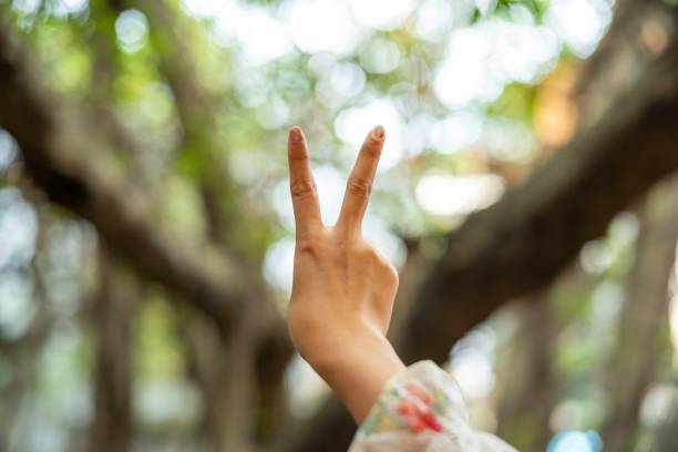 istock Young woman hand with peace sign fingers with blurred tree background 1169947019