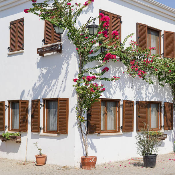 White aegean house with pink flower.