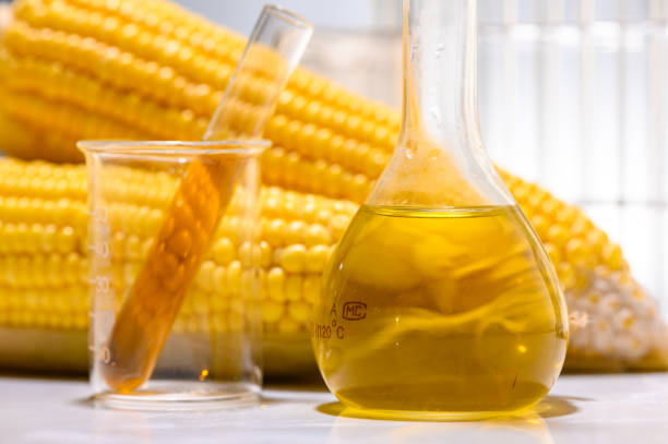 istock Biofuel or Corn Syrup, gasoline, energy, environmentalist 1169951987
