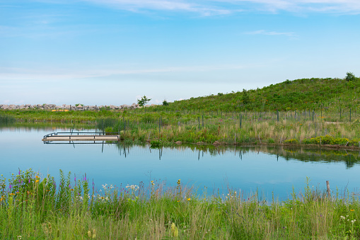A calm pond with native plants near Lake Michigan at Northerly Island in Chicago during summer