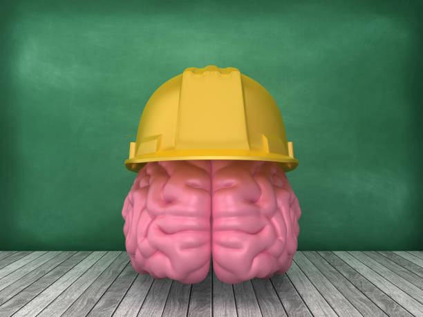 human brain with construction helmet on chalkboard background - 3d rendering - 269 imagens e fotografias de stock