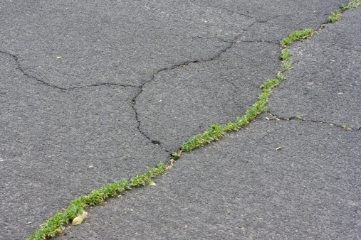 cracked asphalt pavement with a green grass growing