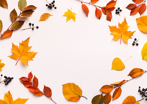 Autumn background with round frame with white blank space