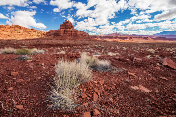 Beautiful view in the Valley of Gods