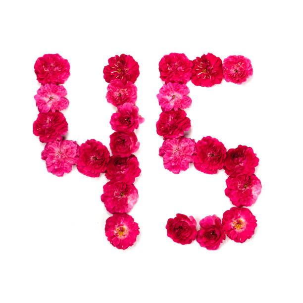 Number 45 in red and pink rose flowers, typographic design element.