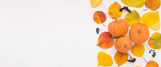 istock Autumn foliage with pumpkin creating frame on white 1169956803