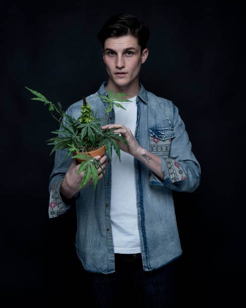 istock Close up view of man with marijuana plant 1169958997