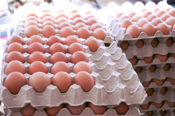 istock Eggs from fresh laying hens with neat arrangement 1169961231