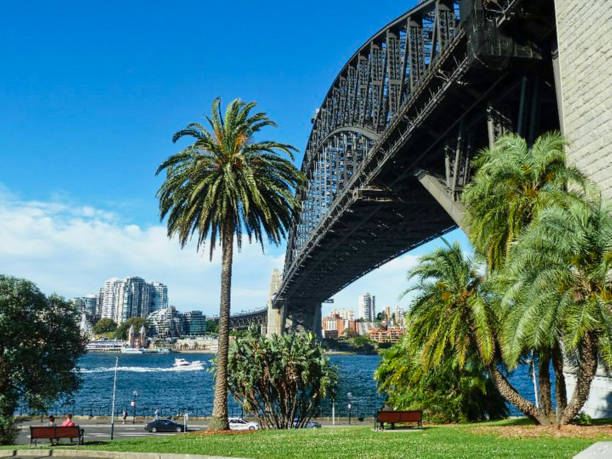 the bridge in sidney above
