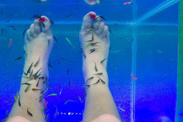 istock Fish Garra rufa in the aquarium treated feet 1169968151