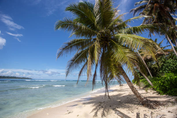istock Mentawai Adventure 1169968419