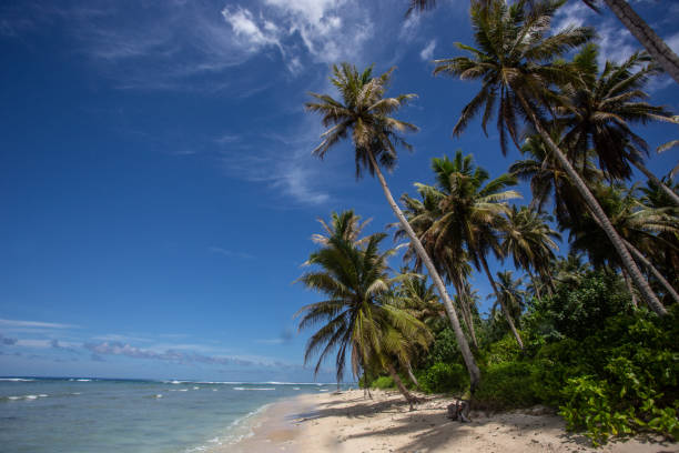 istock Mentawai Adventure 1169968426