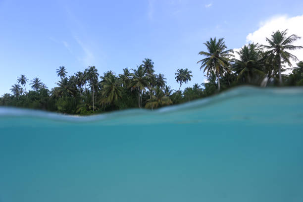 aventura en mentawai - mentawai islands rural scene sumatra indonesia fotografías e imágenes de stock