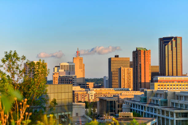 istock Nature and St. Paul City Skyline from High Angle 1169968545
