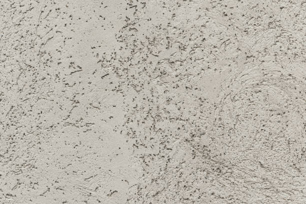 istock gray concrete background texture clean stucco fine grain cement 1169969083